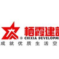 棲霞建設(shè)董事會(huì)決議公告 選舉江勁松為董事長、總裁及投資興辦實(shí)業(yè)